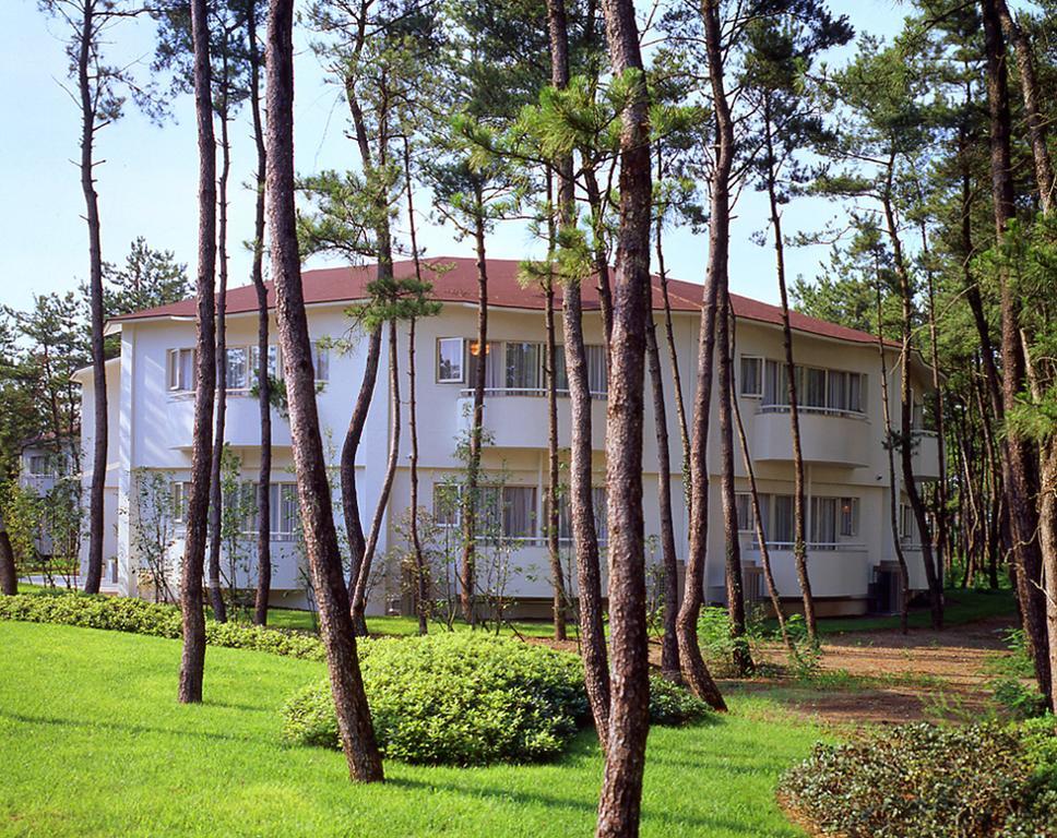 Cottage Himuka Miyazaki Rum bild