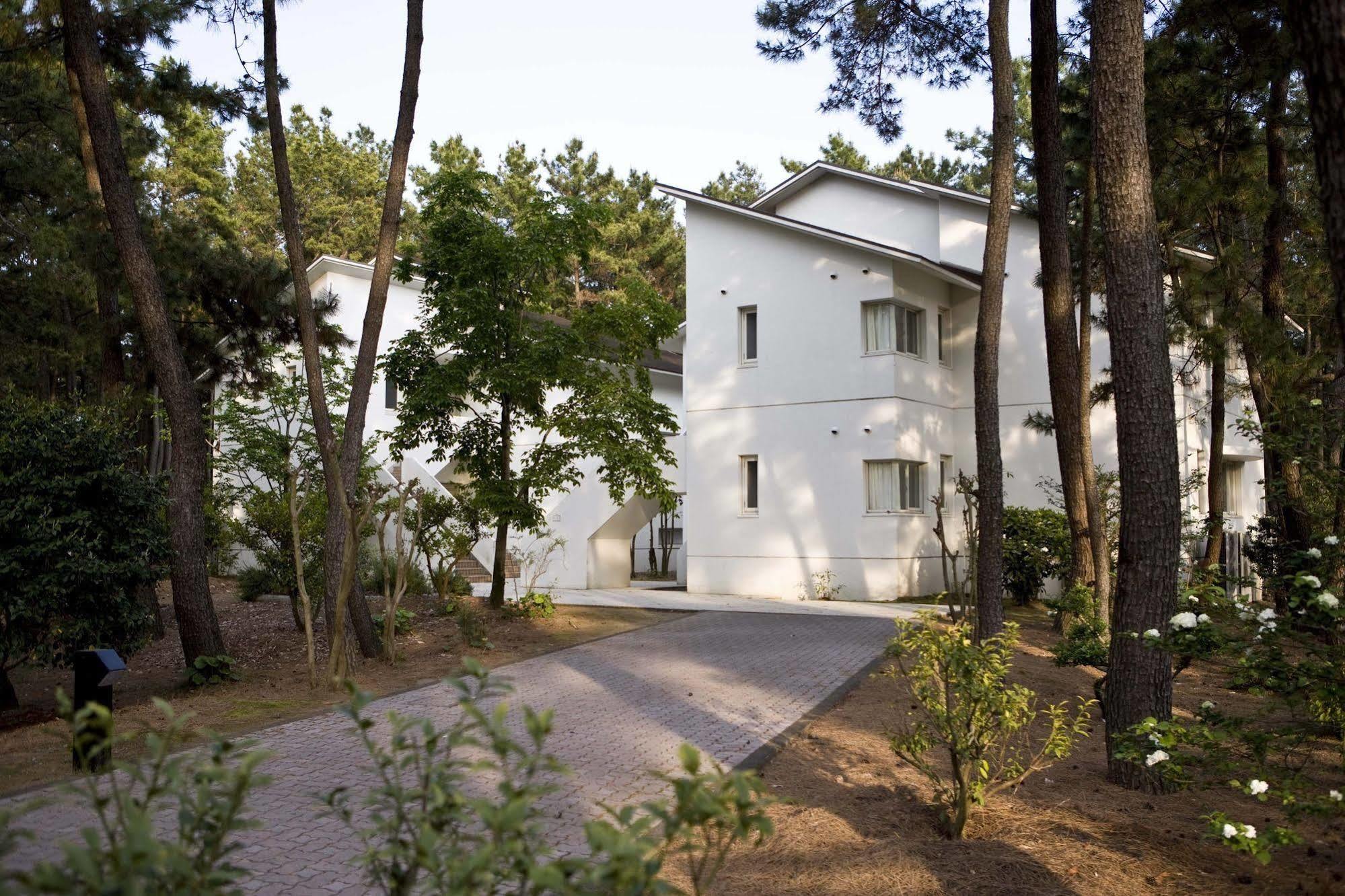 Cottage Himuka Miyazaki Exteriör bild